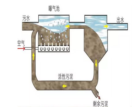 活性污泥法的传统与改进工艺大比拼，你知道几种