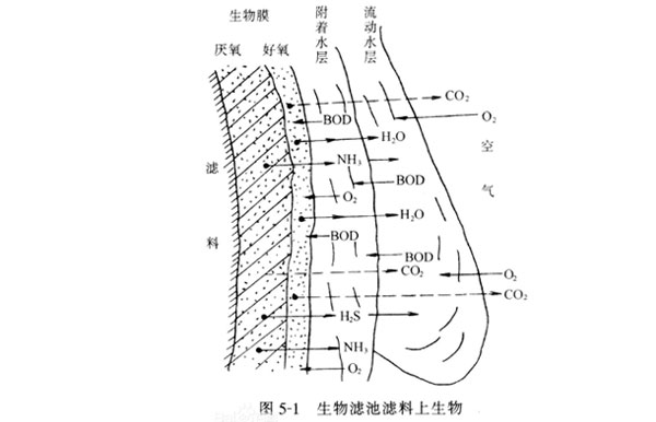 好氧生物处理生物膜法