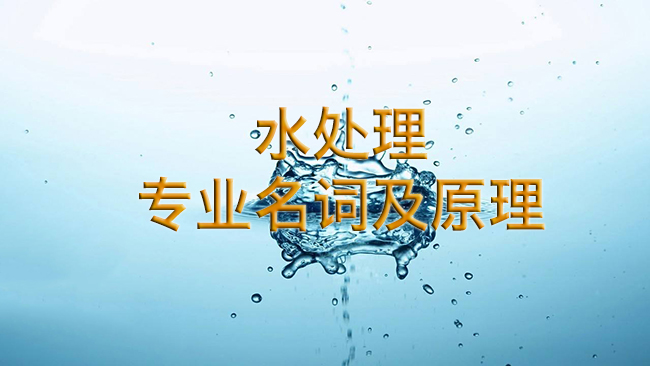 水处理专业名词及原理